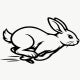Image Paques Rabbit